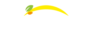 Bonduelle - Terug naar de homepage